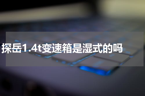 探岳1.4t变速箱是湿式的吗