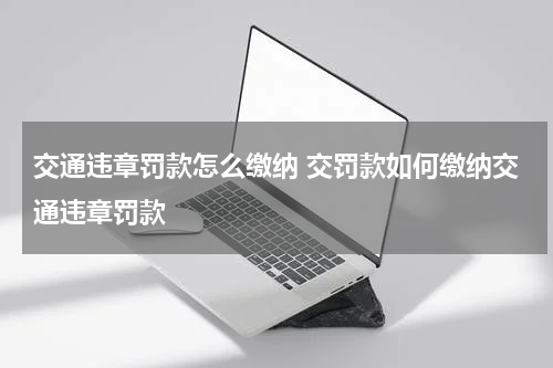 交通违章罚款怎么缴纳 交罚款如何缴纳交通违章罚款