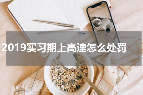 2019实习期上高速怎么处罚