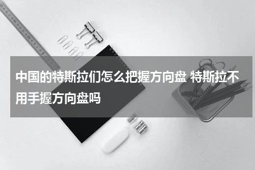 中国的特斯拉们怎么把握方向盘 特斯拉不用手握方向盘吗