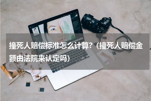 撞死人赔偿标准怎么计算?（撞死人赔偿金额由法院来认定吗）