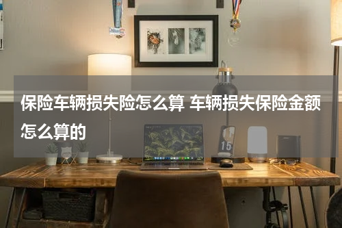 保险车辆损失险怎么算 车辆损失保险金额怎么算的