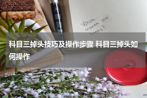 科目三掉头技巧及操作步骤 科目三掉头如何操作