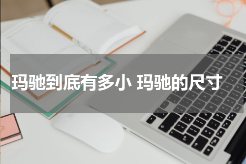 玛驰到底有多小 玛驰的尺寸