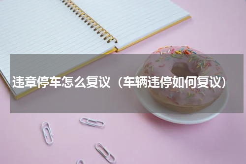 违章停车怎么复议（车辆违停如何复议）