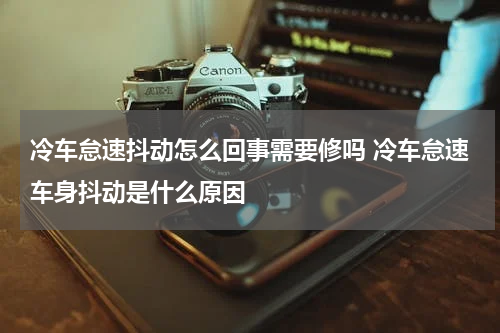 冷车怠速抖动怎么回事需要修吗 冷车怠速车身抖动是什么原因