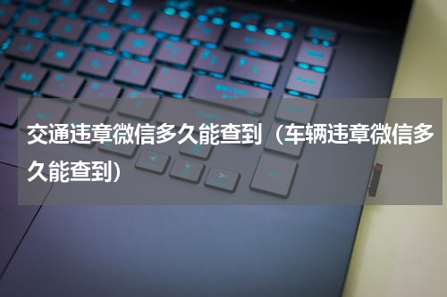交通违章微信多久能查到（车辆违章微信多久能查到）