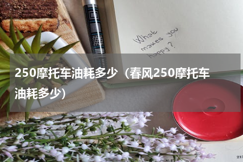 250摩托车油耗多少(春风250摩托车油耗多少)