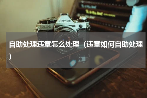 自助处理违章怎么处理（违章如何自助处理）