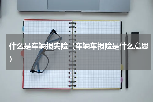 什么是车辆损失险（车辆车损险是什么意思）