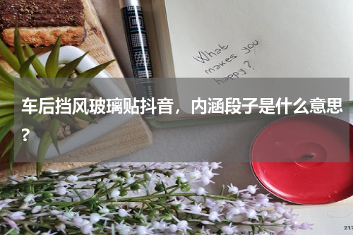 车后挡风玻璃贴抖音，内涵段子是什么意思?