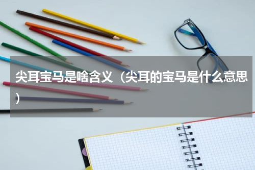 尖耳宝马是啥含义（尖耳的宝马是什么意思）