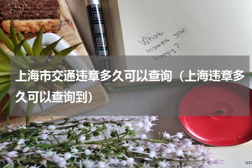 上海市交通违章多久可以查询（上海违章多久可以查询到）