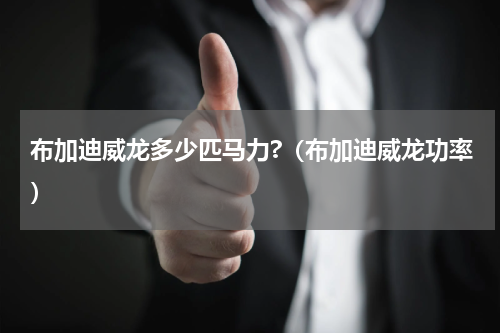 布加迪威龙多少匹马力?（布加迪威龙功率）