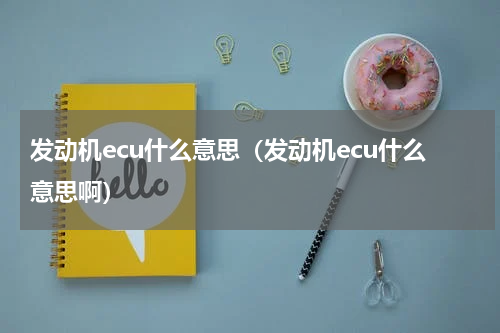 发动机ecu什么意思（发动机ecu什么意思啊）
