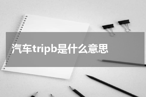 汽车tripb是什么意思