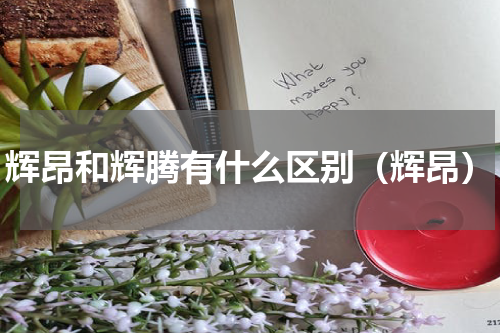 辉昂和辉腾有什么区别（辉昂）