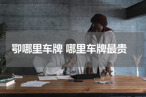 卾哪里车牌 哪里车牌最贵