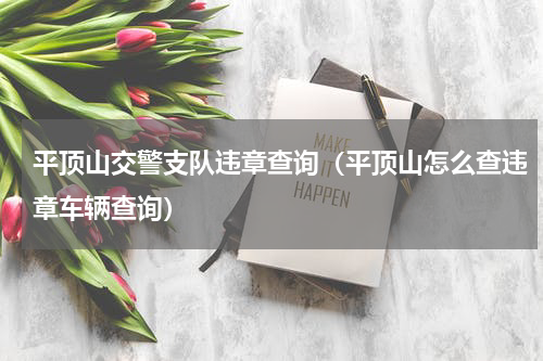 平顶山交警支队违章查询（平顶山怎么查违章车辆查询）
