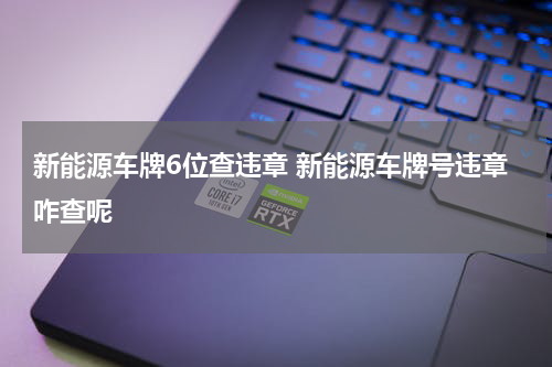新能源车牌6位查违章 新能源车牌号违章咋查呢
