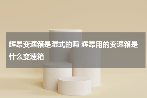 辉昂变速箱是湿式的吗 辉昂用的变速箱是什么变速箱