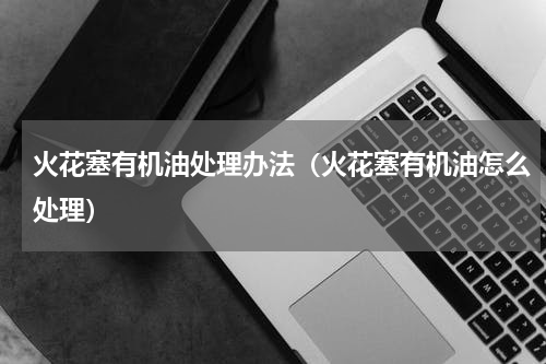 火花塞有机油处理办法（火花塞有机油怎么处理）