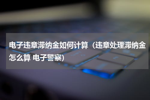 电子违章滞纳金如何计算（违章处理滞纳金怎么算 电子警察）