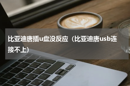 比亚迪唐插u盘没反应（比亚迪唐usb连接不上）