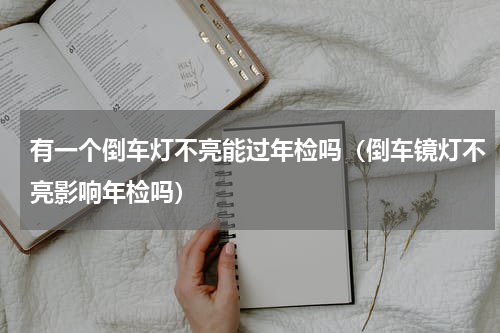 有一个倒车灯不亮能过年检吗（倒车镜灯不亮影响年检吗）