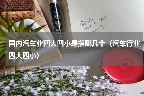 国内汽车业四大四小是指哪几个（汽车行业四大四小）