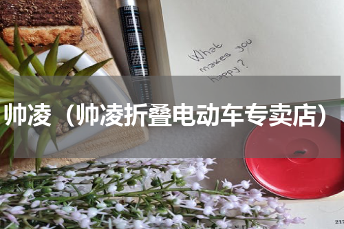 帅凌（帅凌折叠电动车专卖店）