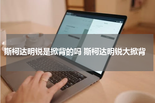 斯柯达明锐是掀背的吗 斯柯达明锐大掀背