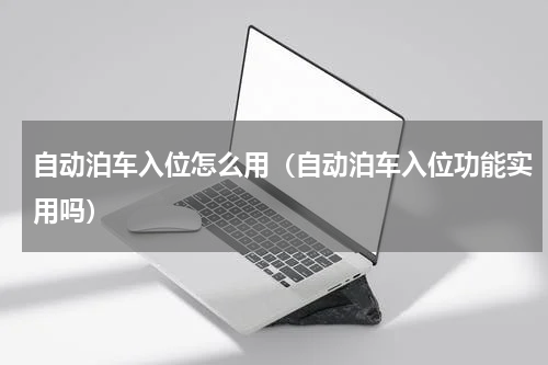 自动泊车入位怎么用（自动泊车入位功能实用吗）