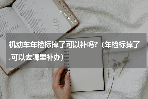机动车年检标掉了可以补吗?(年检标掉了,可以去哪里补办)