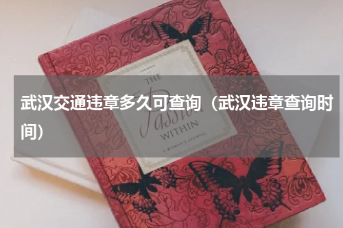 武汉交通违章多久可查询（武汉违章查询时间）