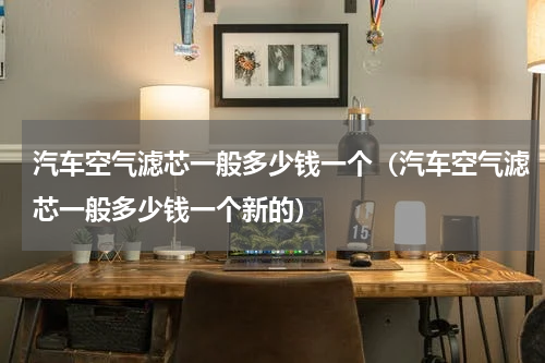 汽车空气滤芯一般多少钱一个（汽车空气滤芯一般多少钱一个新的）