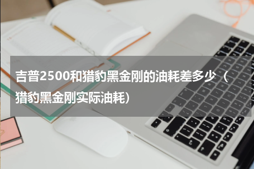 吉普2500和猎豹黑金刚的油耗差多少（猎豹黑金刚实际油耗）
