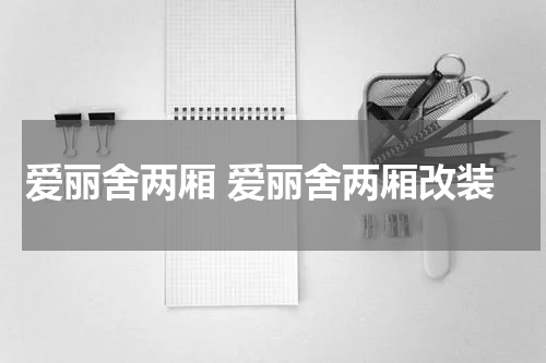 爱丽舍两厢 爱丽舍两厢改装