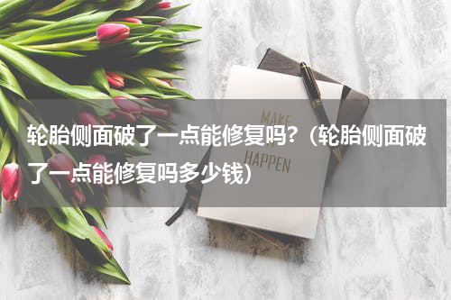 轮胎侧面破了一点能修复吗?（轮胎侧面破了一点能修复吗多少钱）