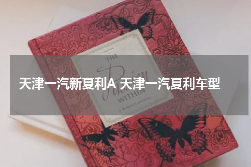 天津一汽新夏利A 天津一汽夏利车型